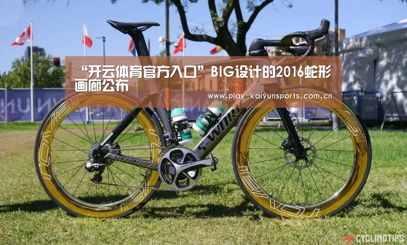 “开云体育官方入口”BIG设计的2016蛇形画廊公布(图3) 开云赛事资讯