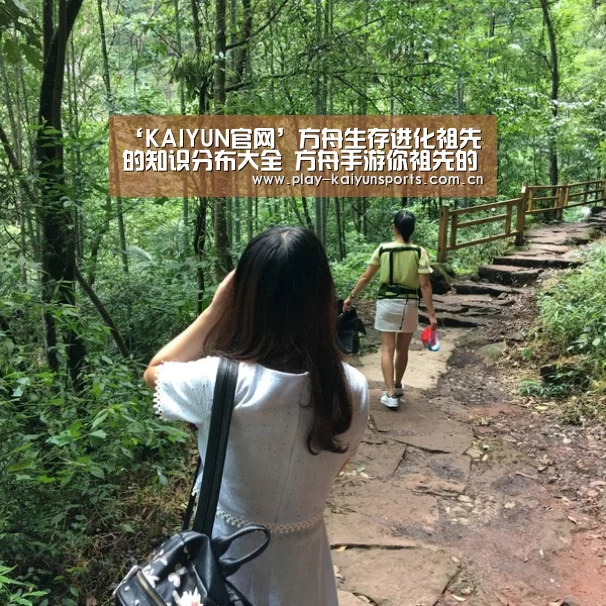 ‘KAIYUN官网’方舟生存进化祖先的知识分布大全 方舟手游你祖先的知识位置分布(图1) 开云体育直播
