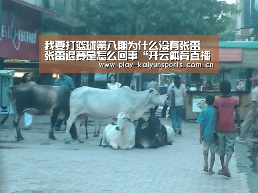 我要打篮球第八期为什么没有张雷 张雷退赛是怎么回事“开云体育直播”(图1) 开云体育直播