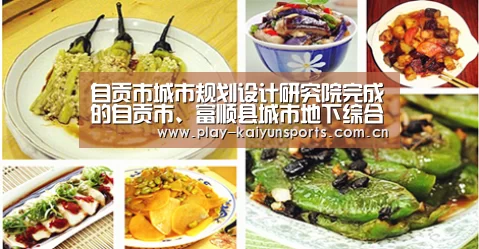 自贡市城市规划设计研究院完成的自贡市、富顺县城市地下综合管廊规划及实施方案通过省厅评审|KAIYUN官网(图2) 开云体育官方入口