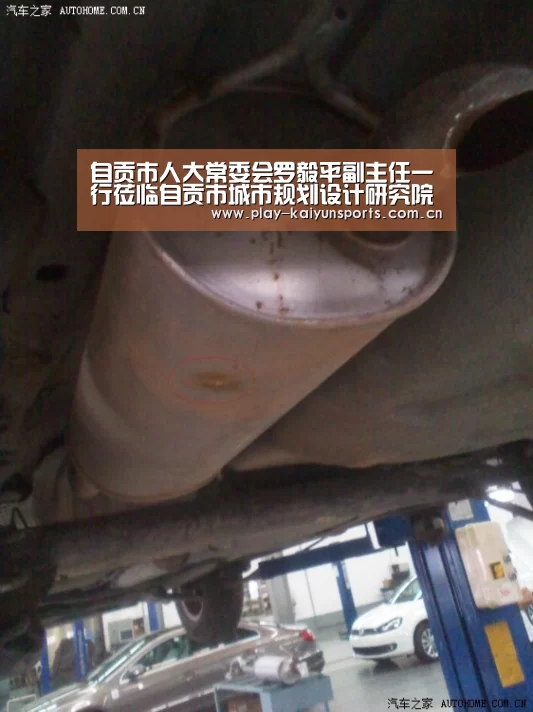 自贡市人大常委会罗毅平副主任一行莅临自贡市城市规划设计研究院指导工作:开云体育直播(图1) 开云体育官方入口