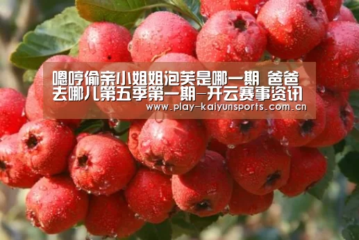 开云赛事