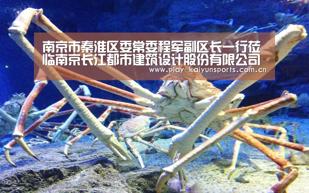 南京市秦淮区委常委程军副区长一行莅临南京长江都市建筑设计股份有限公司考察调研_开云体育官方入口(图4) 开云赛事资讯