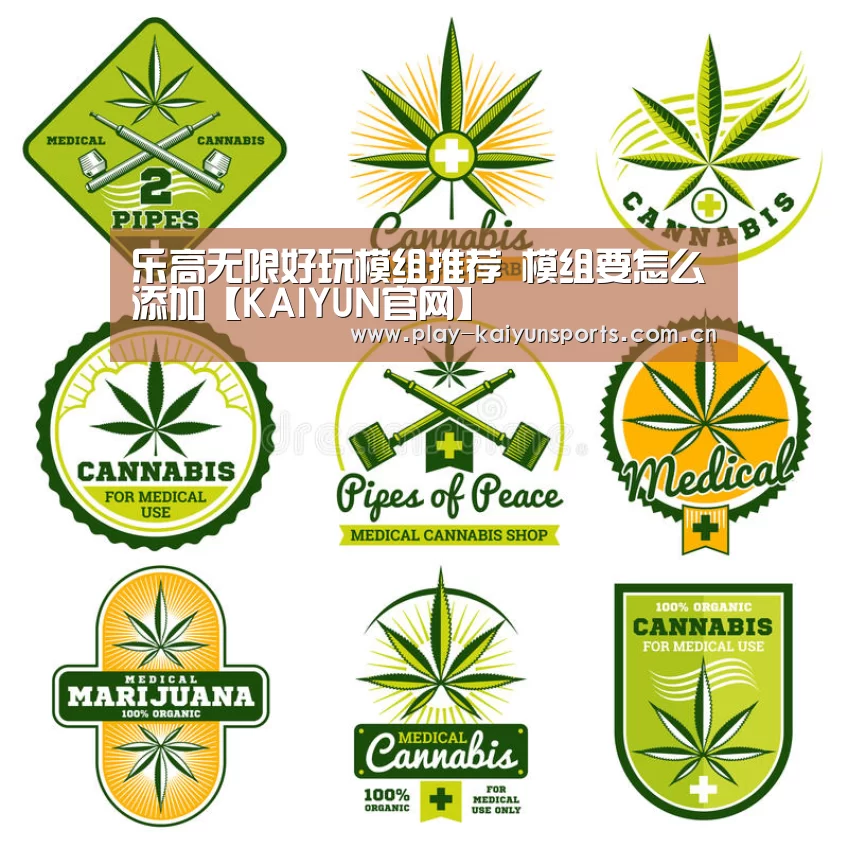 乐高无限好玩模组推荐 模组要怎么添加【KAIYUN官网】(图1) 开云赛事