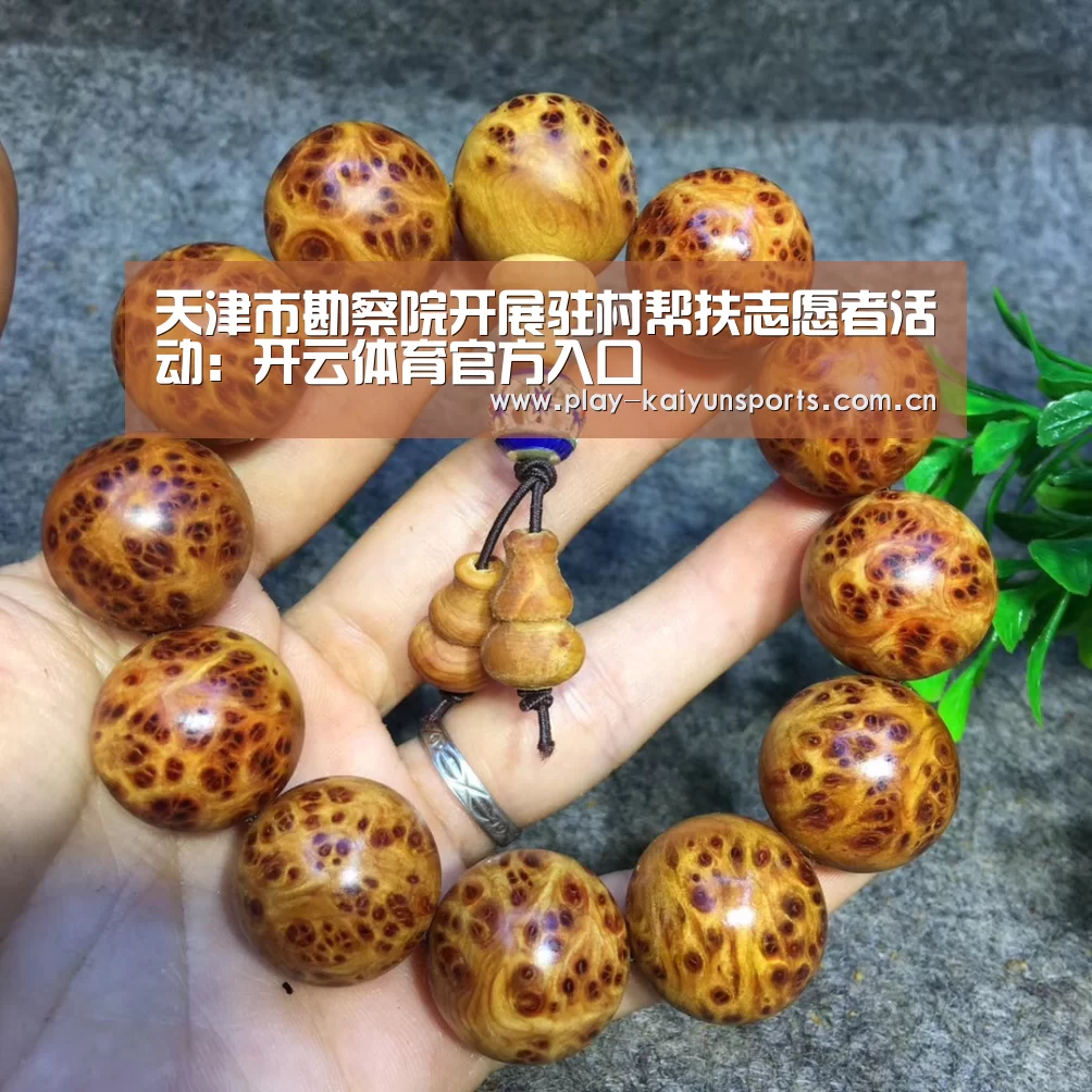 天津市勘察院开展驻村帮扶志愿者活动:开云体育官方入口(图1) 开云赛事