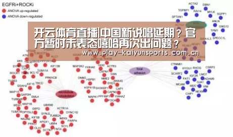 开云体育直播
