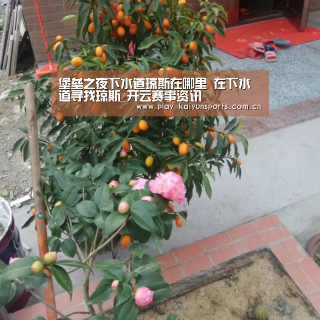 KAIYUN官网