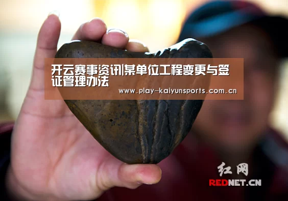 开云体育官方入口