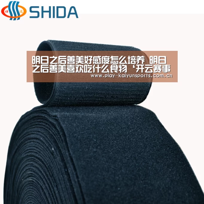 明日之后善美好感度怎么培养 明日之后善美喜欢吃什么食物‘开云赛事资讯’(图1) 开云赛事资讯