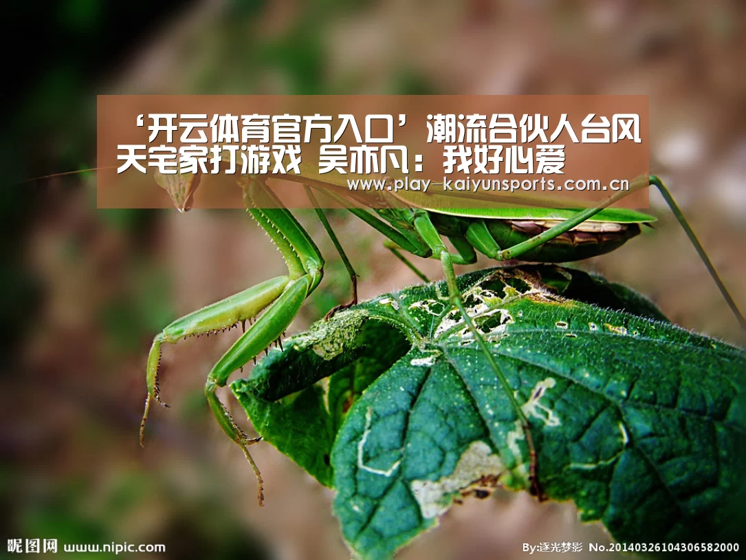 ‘开云体育官方入口’潮流合伙人台风天宅家打游戏 吴亦凡:我好心爱(图4) 开云赛事