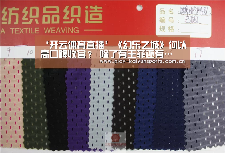 ‘开云体育直播’《幻乐之城》何以高口碑收官？ 除了有王菲还有